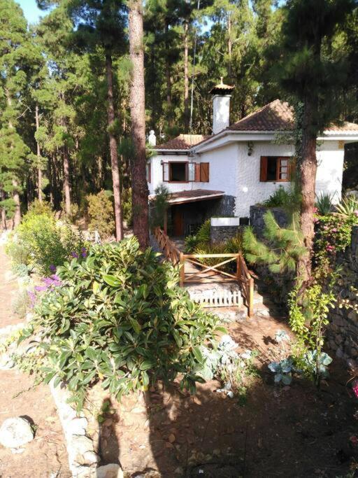 Villa Floral Garden House Icod De Los Vinos Exterior foto